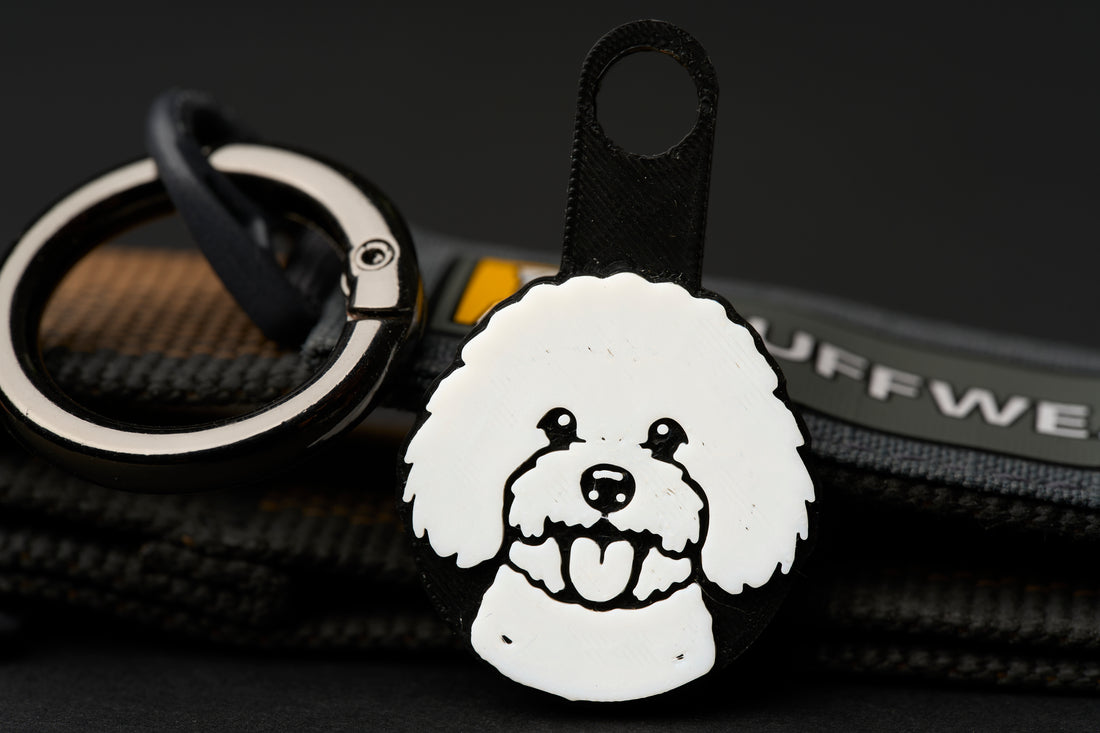 Bichon Frisé