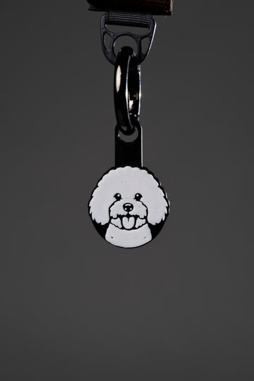 Bichon Frisé