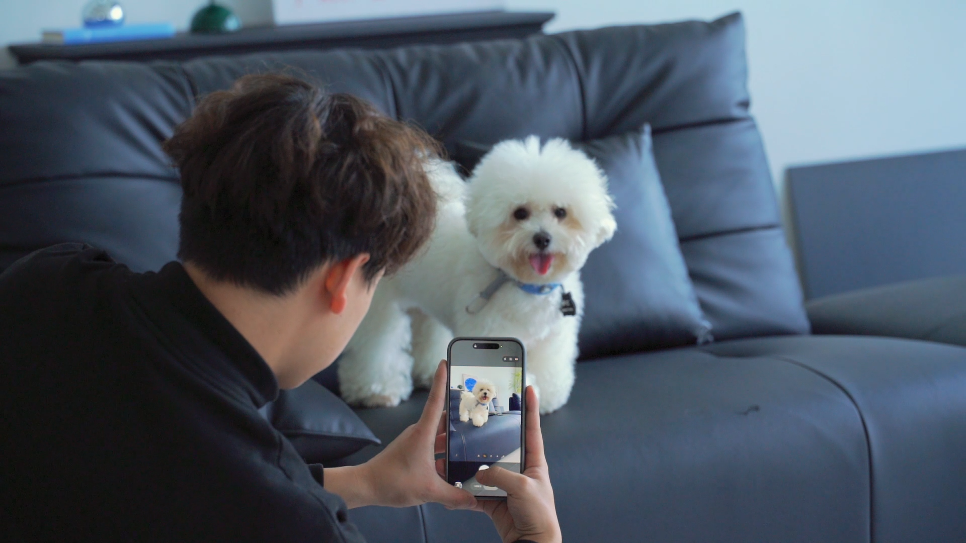 Registration Tutorial