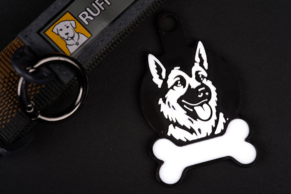 German Shepard