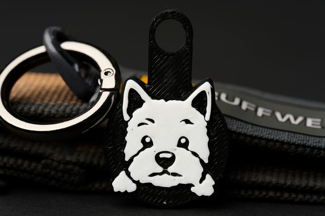 Westie