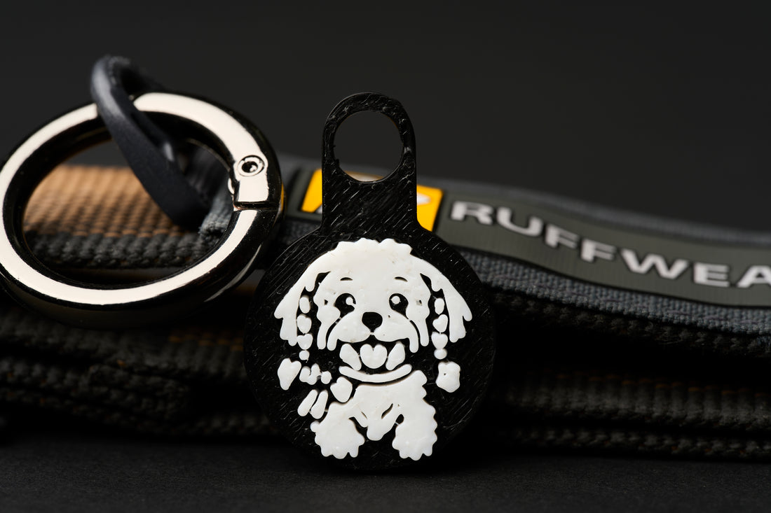 Maltese