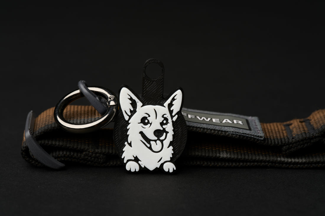 Corgi
