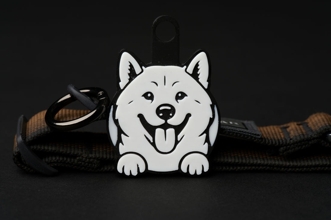 Akita