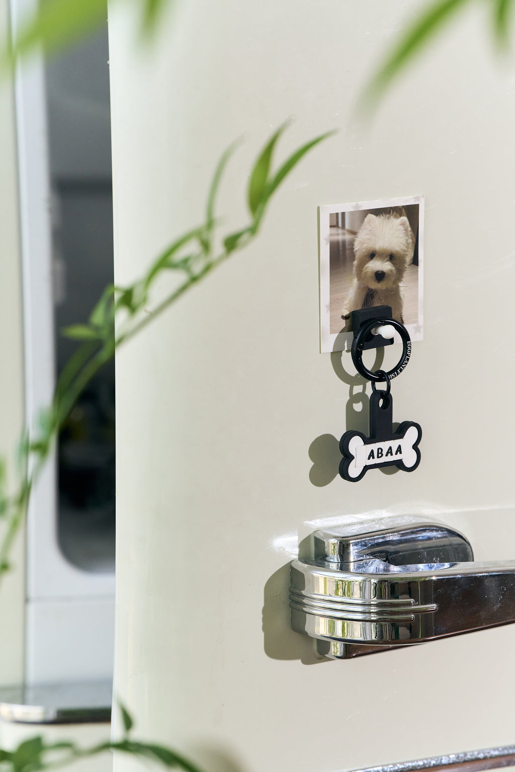 bone(Customizable with 6 letters)