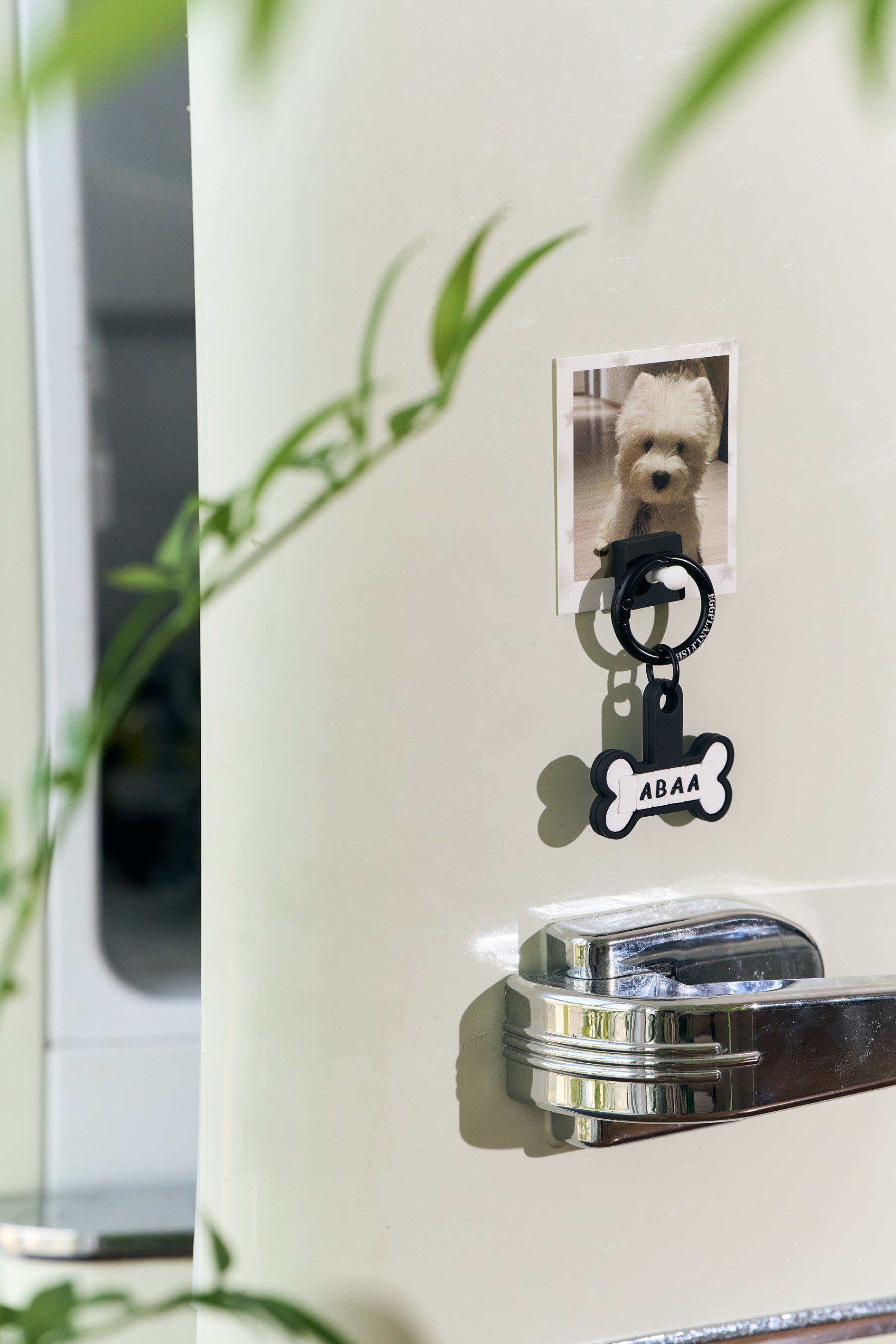 bone(Customizable with 6 letters)