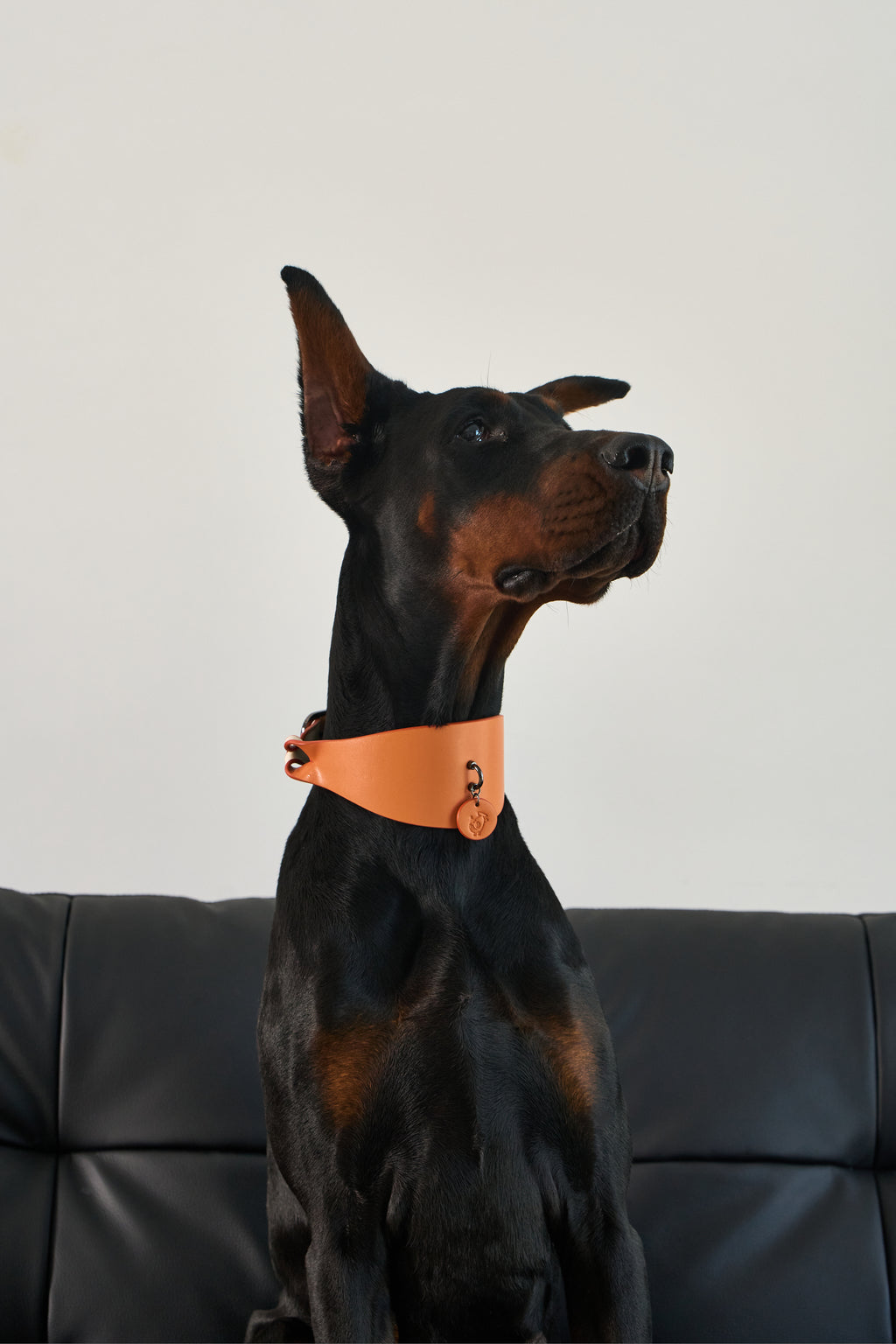 Wide PU Leather Dog Collar
