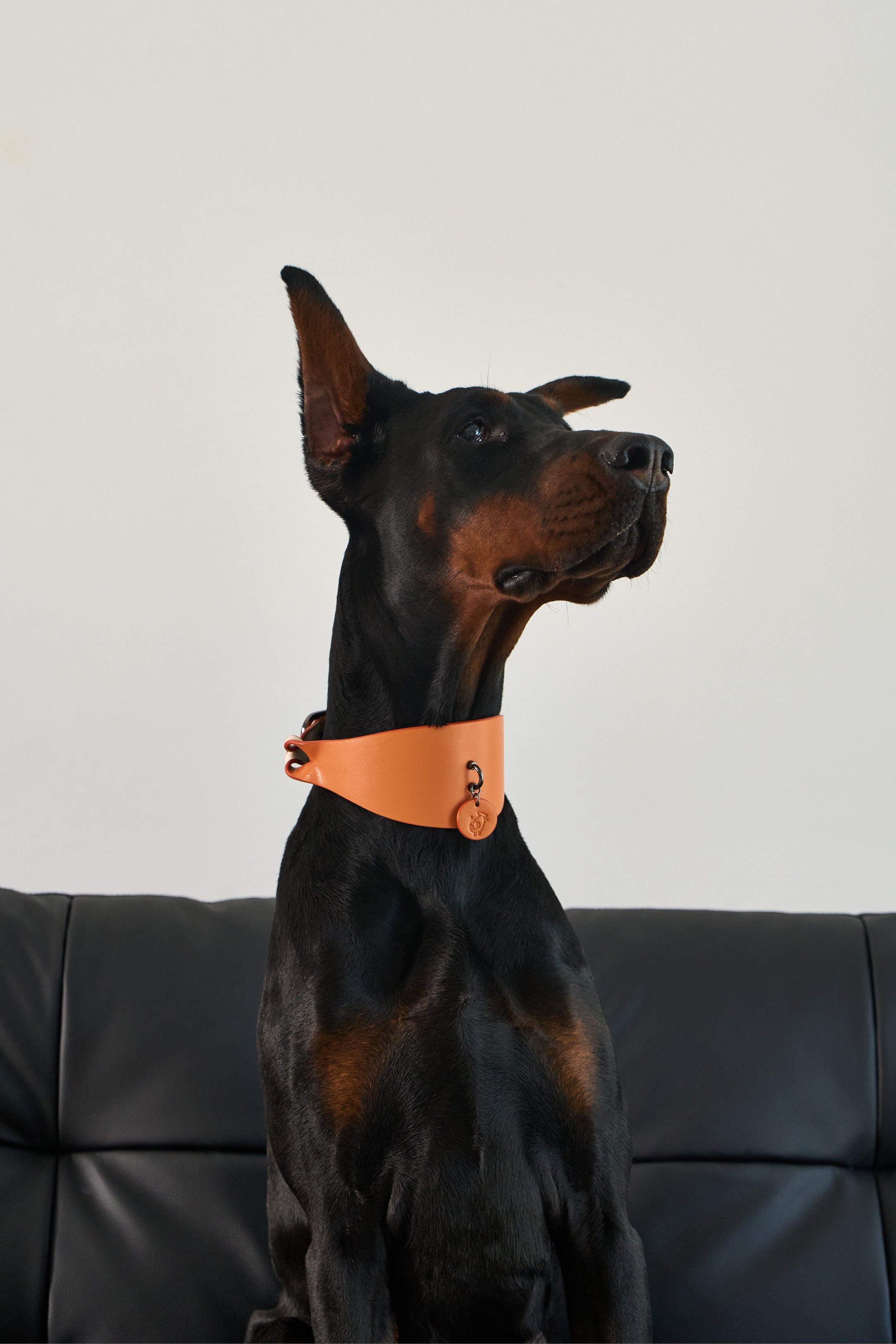 Wide PU Leather Dog Collar
