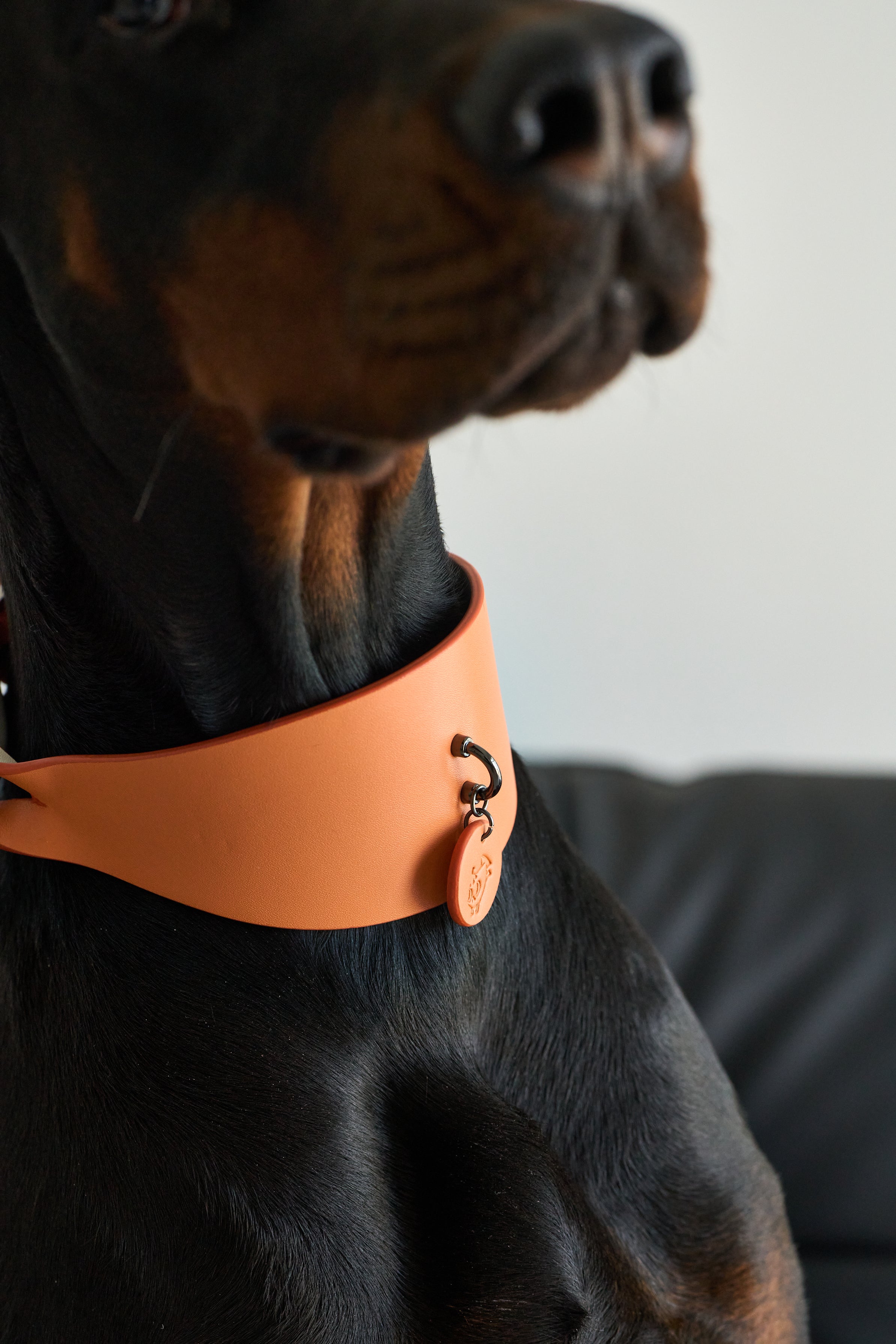 Wide PU Leather Dog Collar
