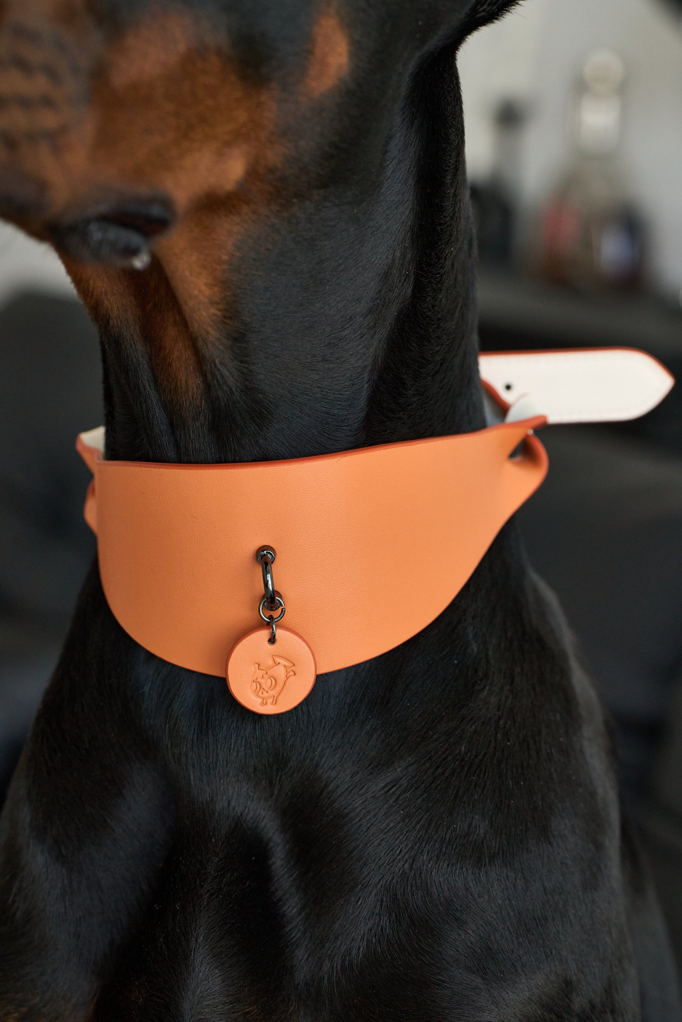 Wide PU Leather Dog Collar