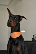 Wide PU Leather Dog Collar